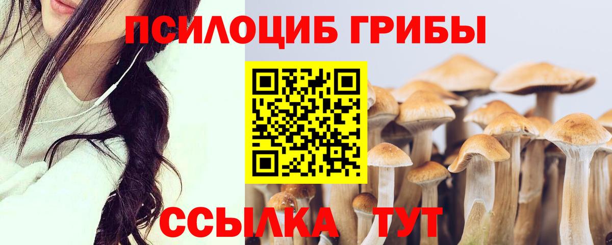 Псилоцибиновые грибы мицелий  Галлюциногенные грибы Cubensis  Реж  Вход с VPN 